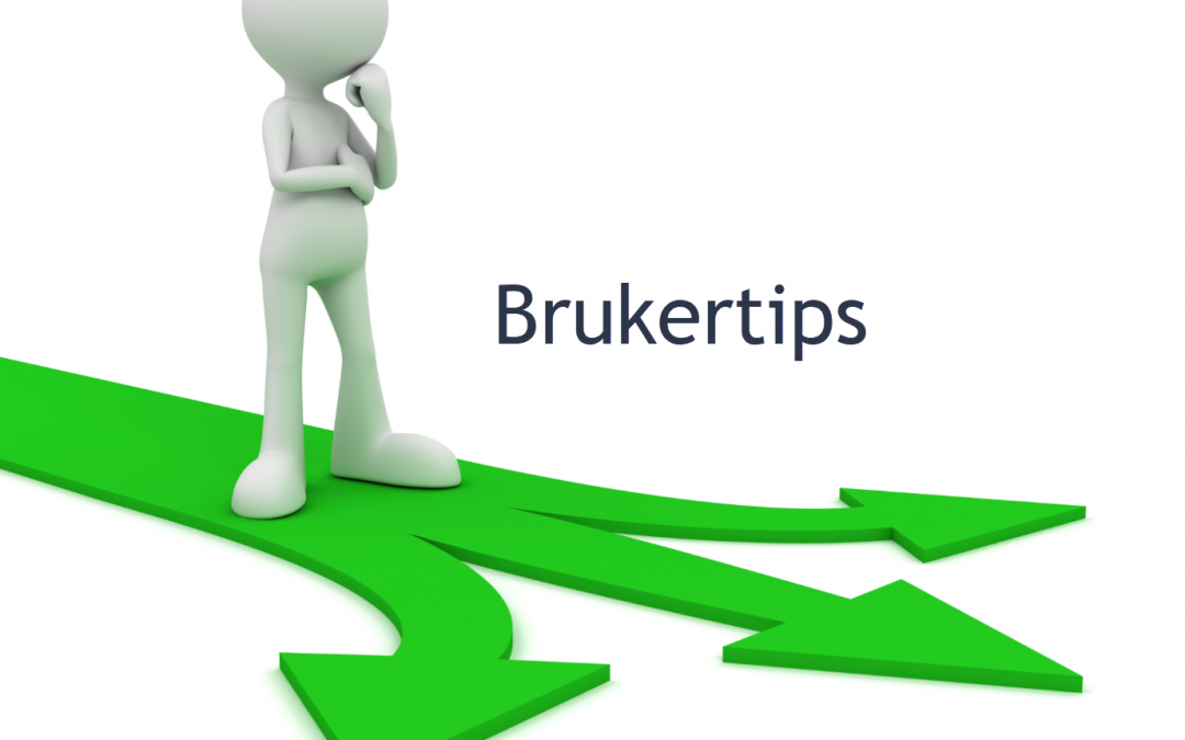 Brukerveiledninger